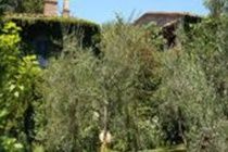 Porciglia Alta Montespertoli Exterior foto